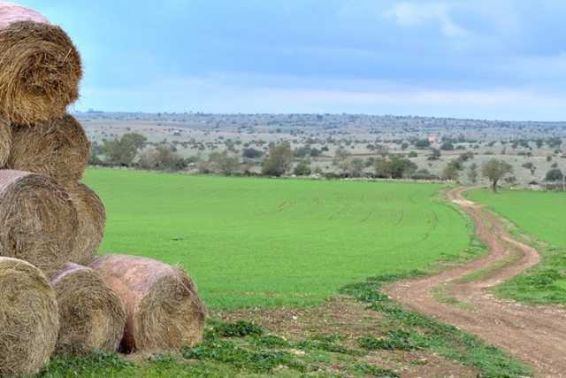 Parco dell'Alta Murgia, facile perdersi senza indicazioni: ma c'� chi ci sta pensando